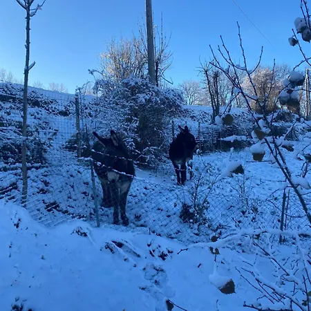 Oda ve Kahvaltı Romantique Privative En Pleine Nature Au Chant De L'eau Siaugues-Sainte-Marie